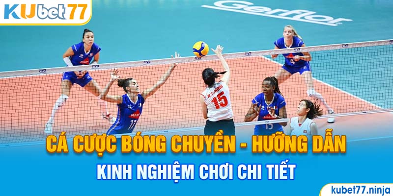 Cá Cược Bóng Chuyền - Hướng Dẫn Kinh Nghiệm Chi Tiết