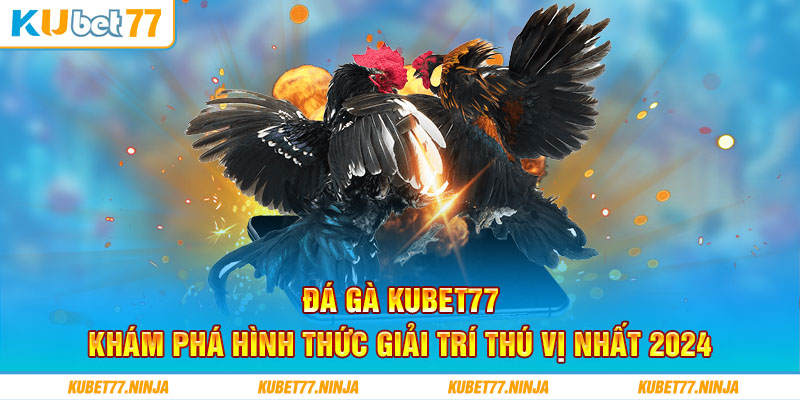 Đá Gà Kubet77 - Khám Phá Hình Thức Giải Trí Thú Vị Nhất 2024