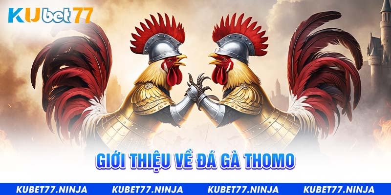 Giới thiệu về đá gà Thomo