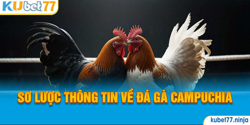 Thông tin về đá gà Campuchia