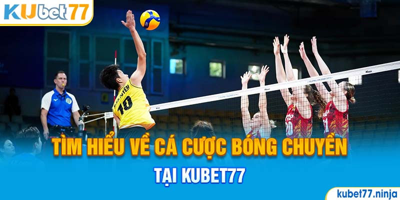 Tìm hiểu sơ lược về cá cược Bóng Chuyền tại Kubet77