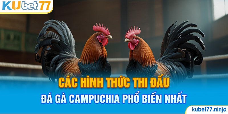 Các hình thức thi đấu đá gà Campuchia phổ biến nhất