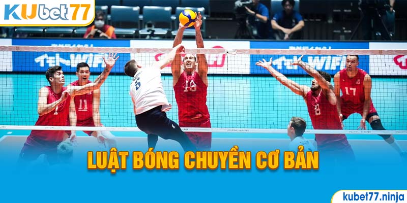 Luật Bóng Chuyền cơ bản