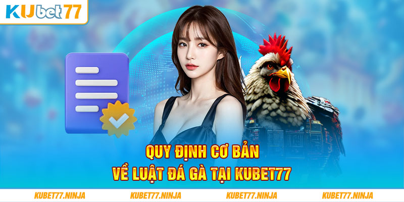 Quy định cơ bản về luật đá gà tại Kubet77