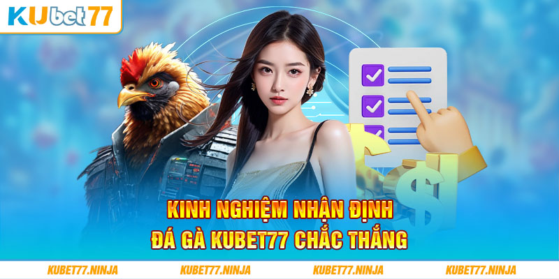 Kinh nghiệm nhận định đá gà Kubet77 chắc thắng