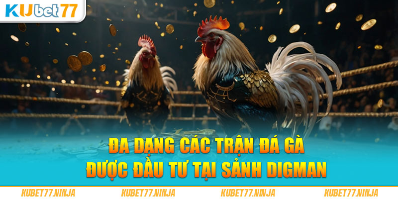 Đa dạng các trận đá gà được đầu tư tại Sảnh Digmaan