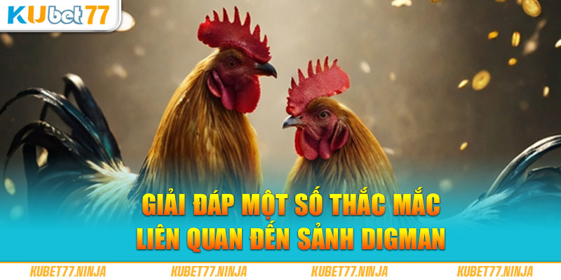 Giải đáp một số thắc mắc liên quan đến sảnh Digmaan